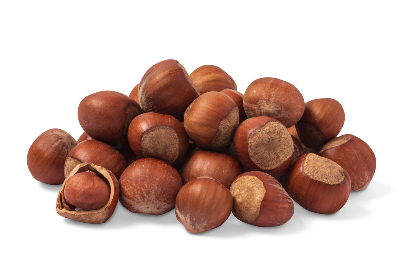 Hazelnuts / Filberts (In Shell) By the Pound